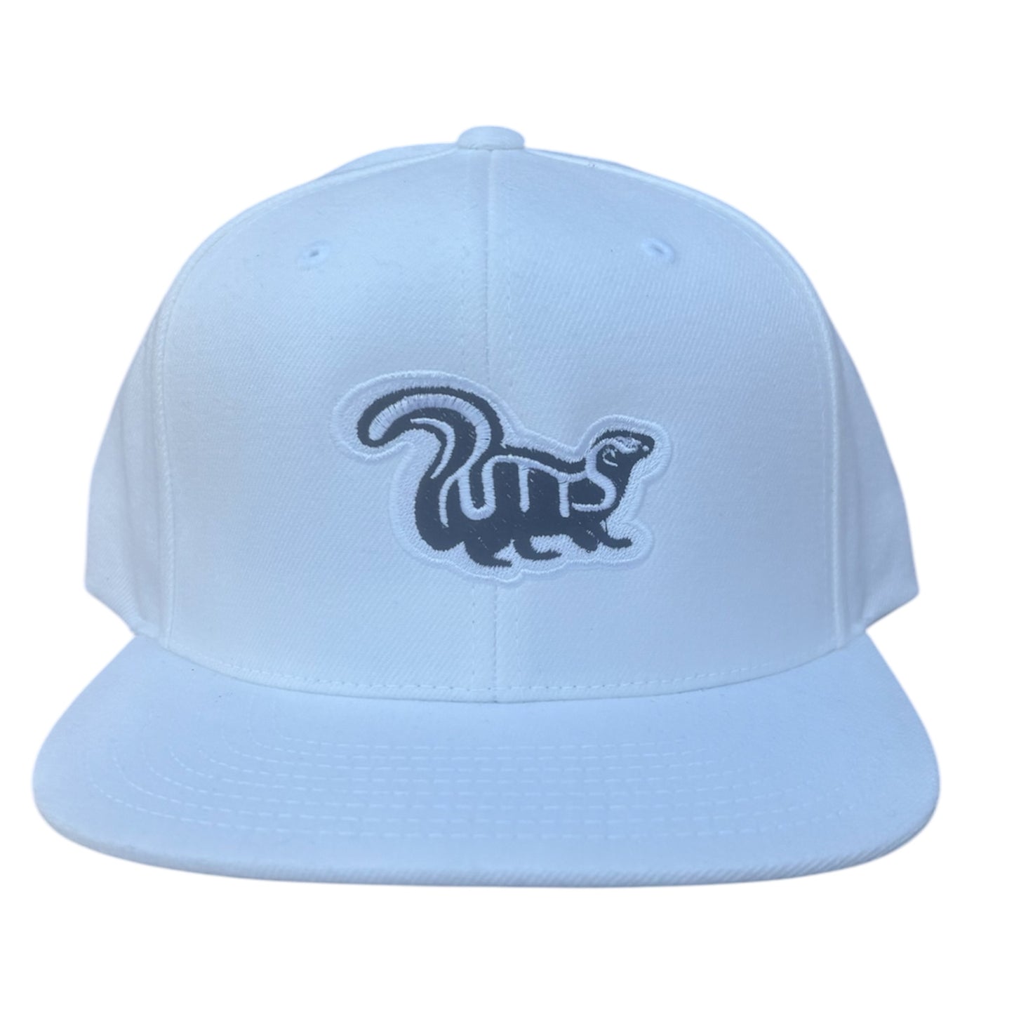 Tour Snapback (White)
