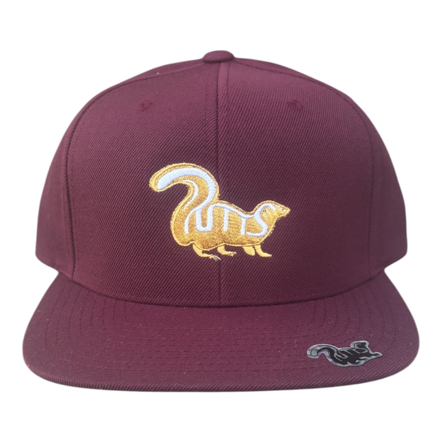 Tour Snapback (Cavs)