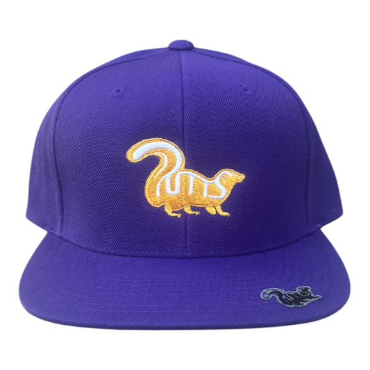 Tour Snapback (Lakers)
